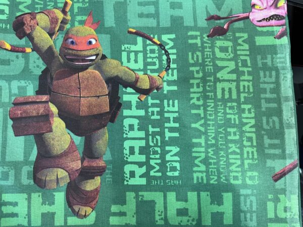 Tissu Tortues Ninja – Michelangelo et Raphael en action !